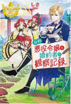 海贼王动漫 蛋糕岛